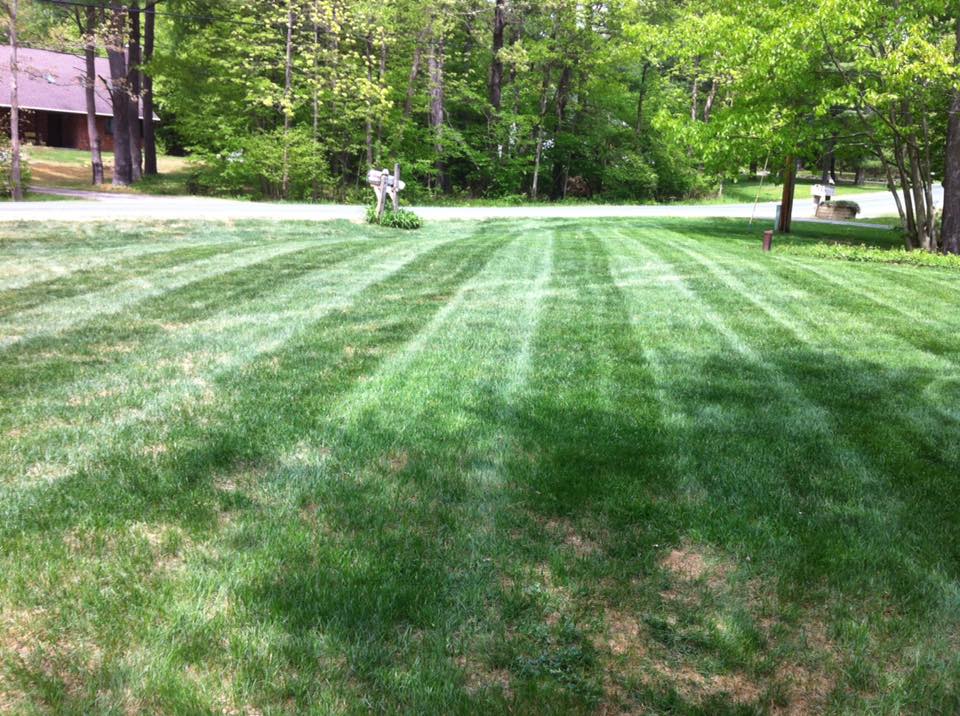 Lawn Care project photo 29