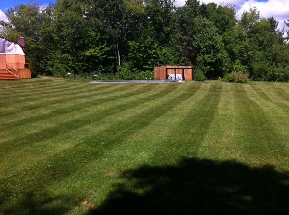 Lawn Care project photo 30