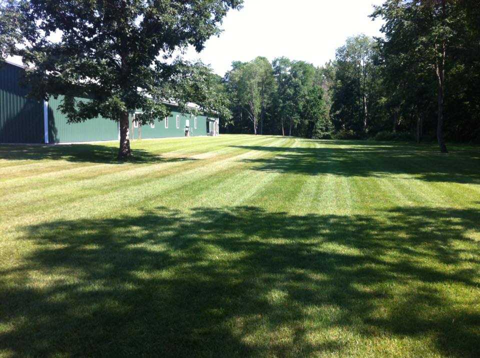 Lawn Care project photo 31