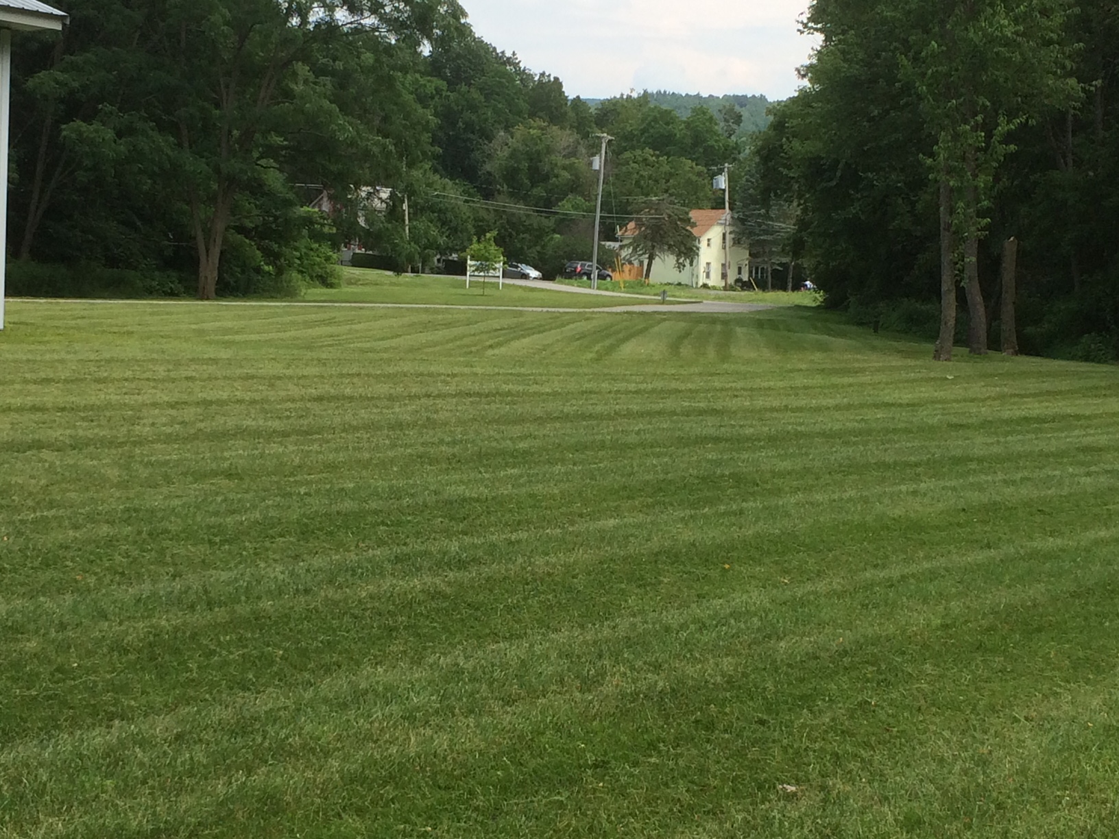 Lawn Care project photo 32