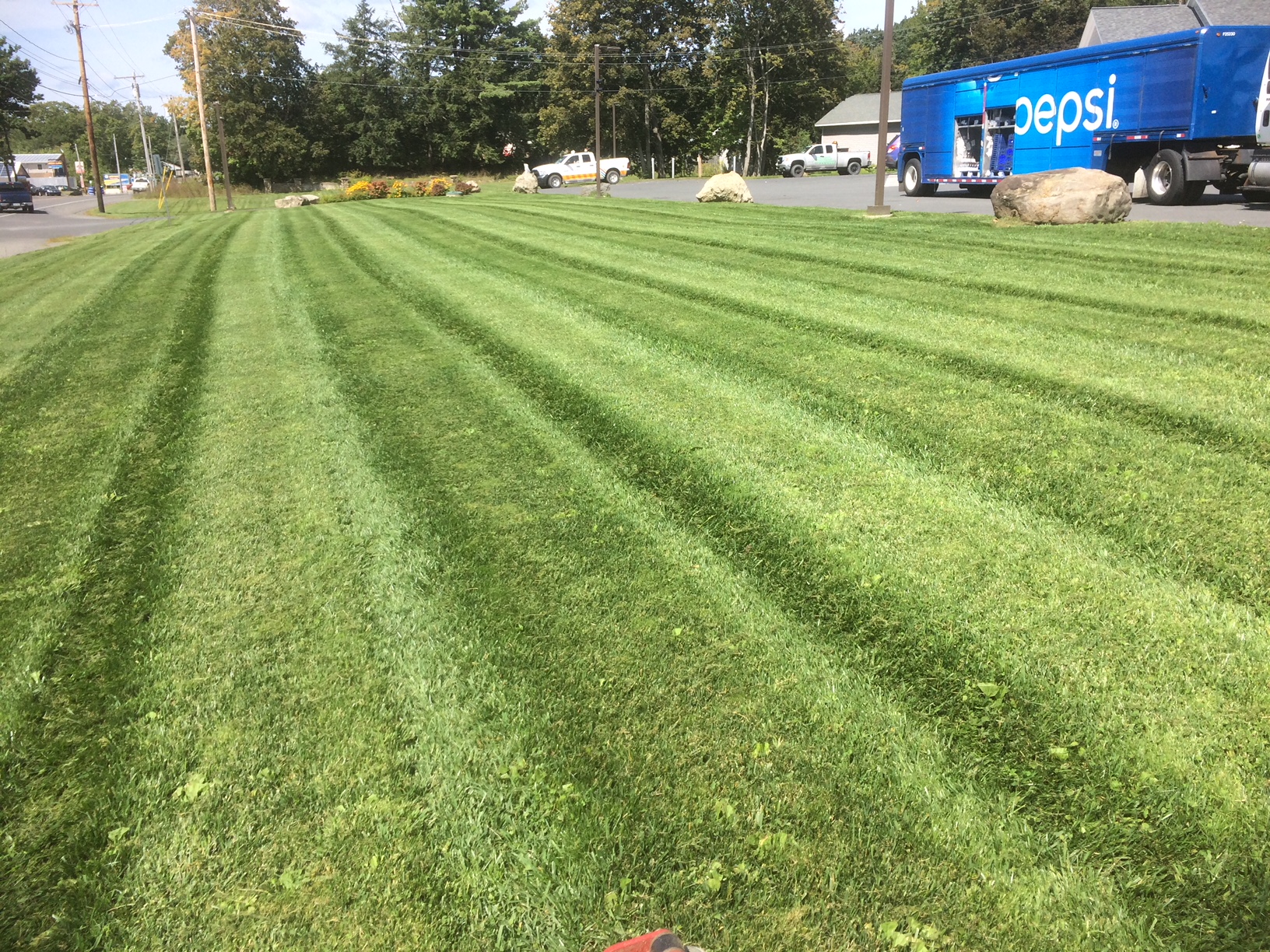 Lawn Care project photo 34