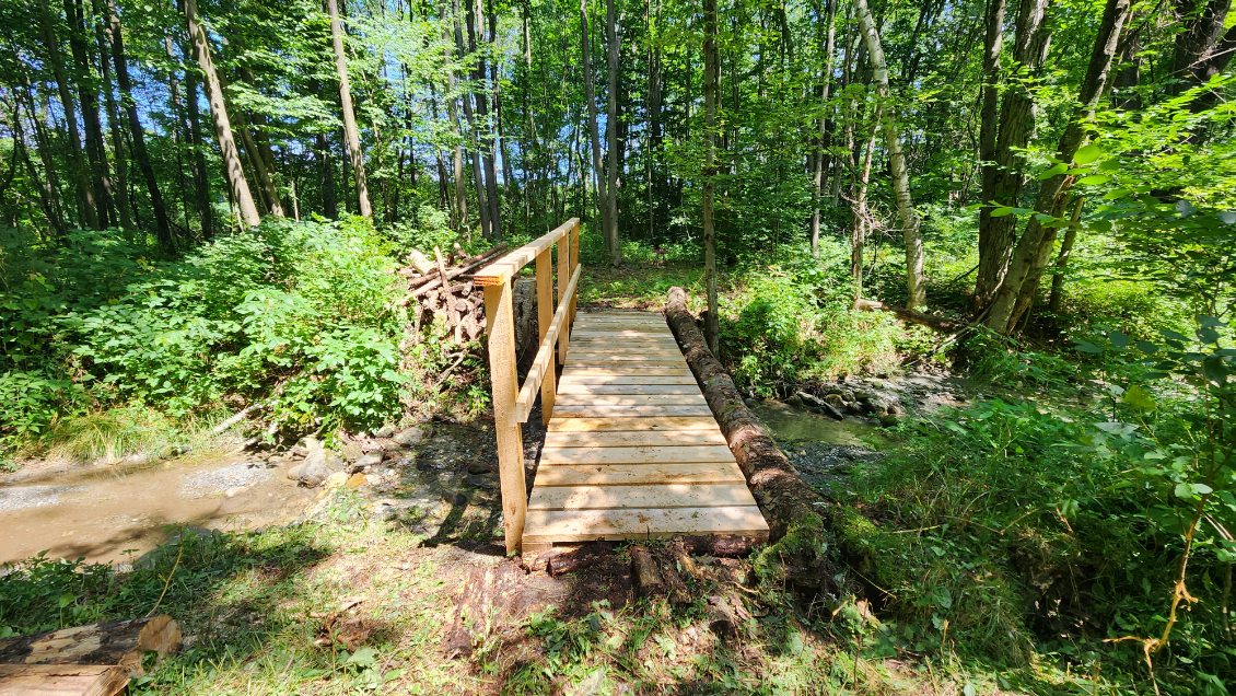 Site Work project photo 12