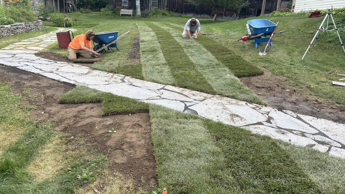 Sod Installation project photo 01