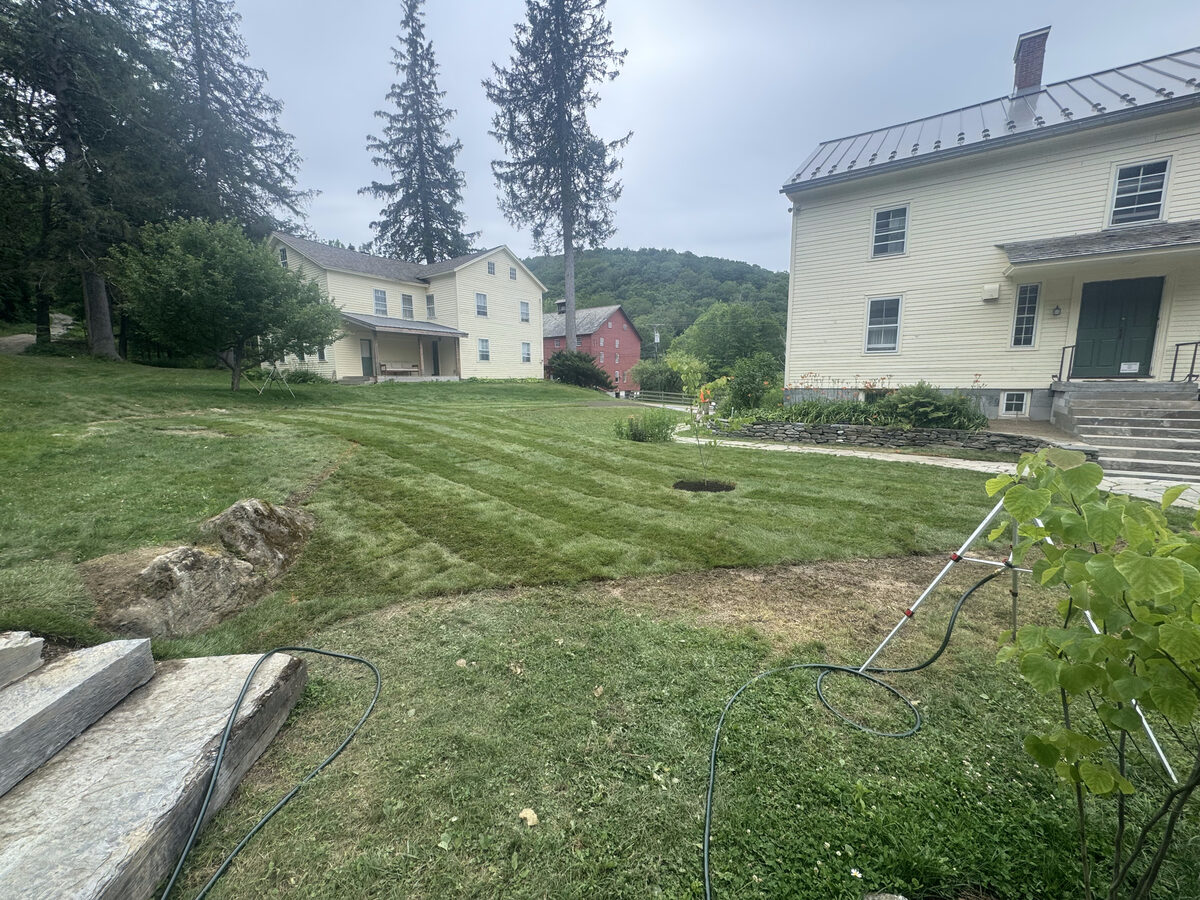 Sod Installation project photo 02