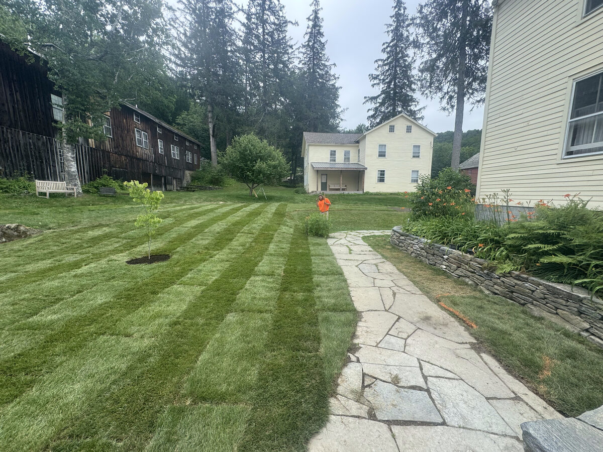Sod Installation project photo 03