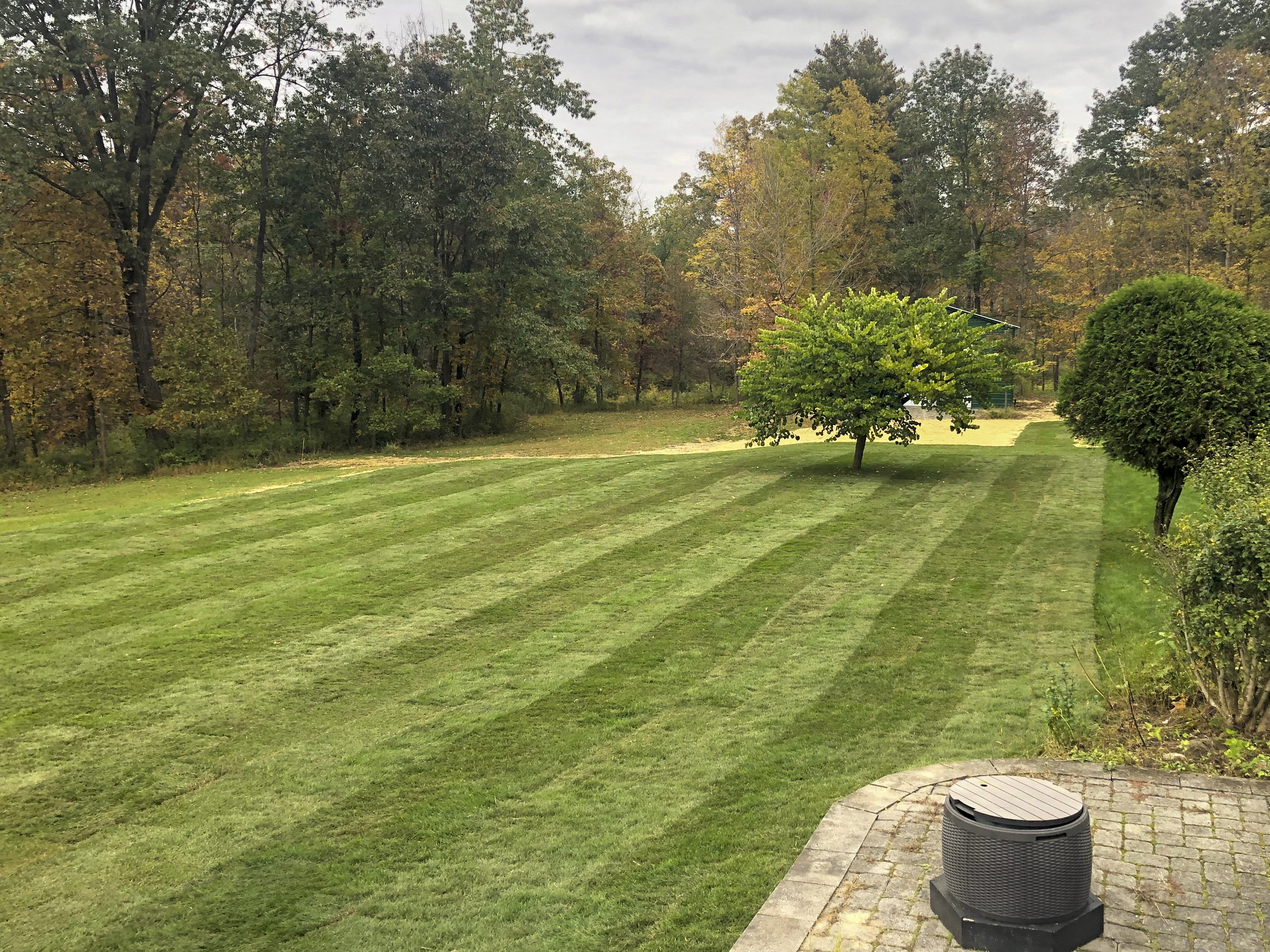 Sod Installation project photo 05
