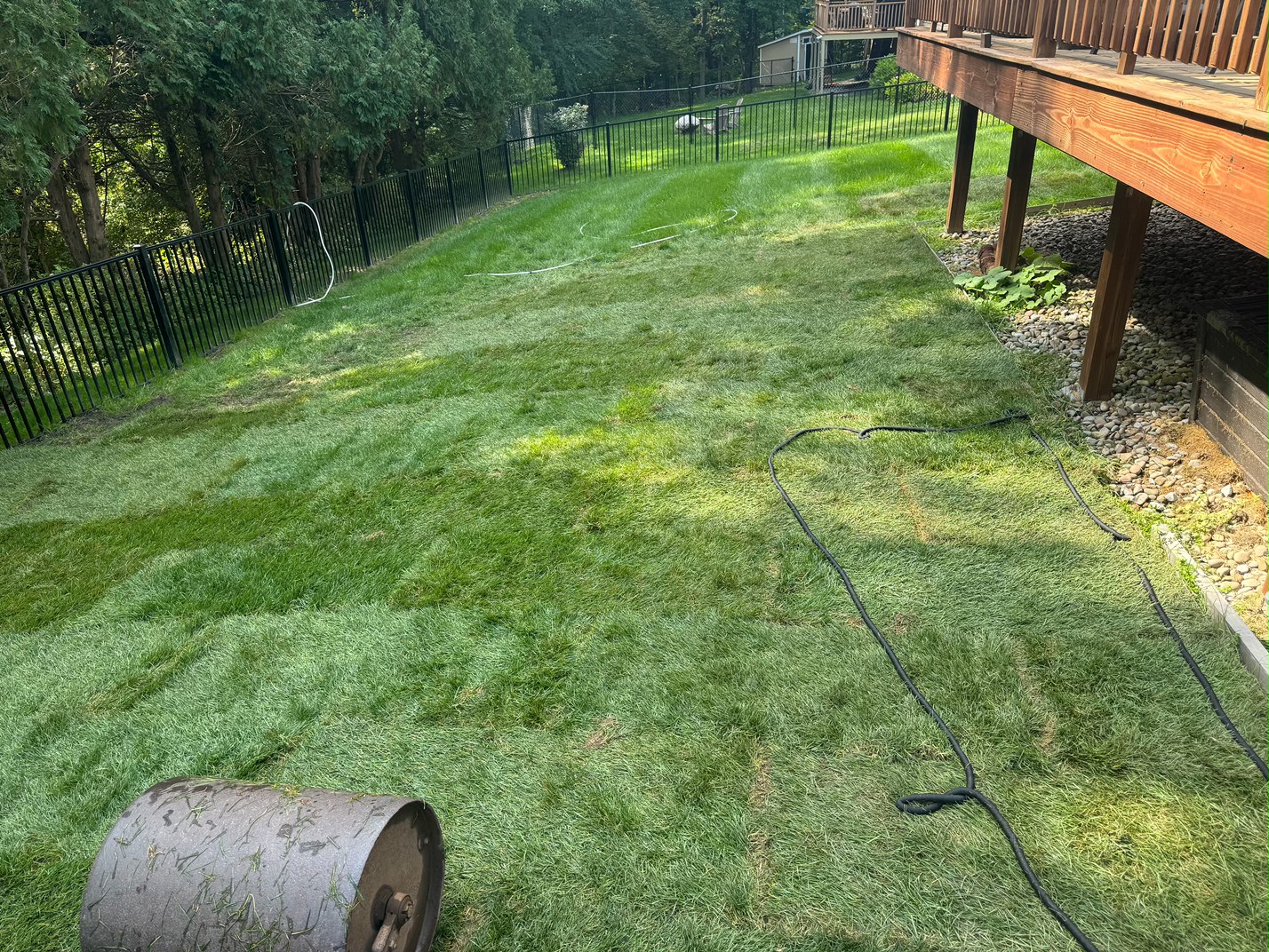 Sod Installation project photo 06