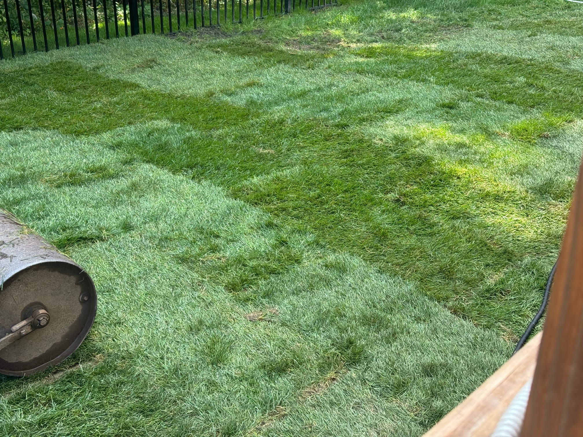 Sod Installation project photo 07