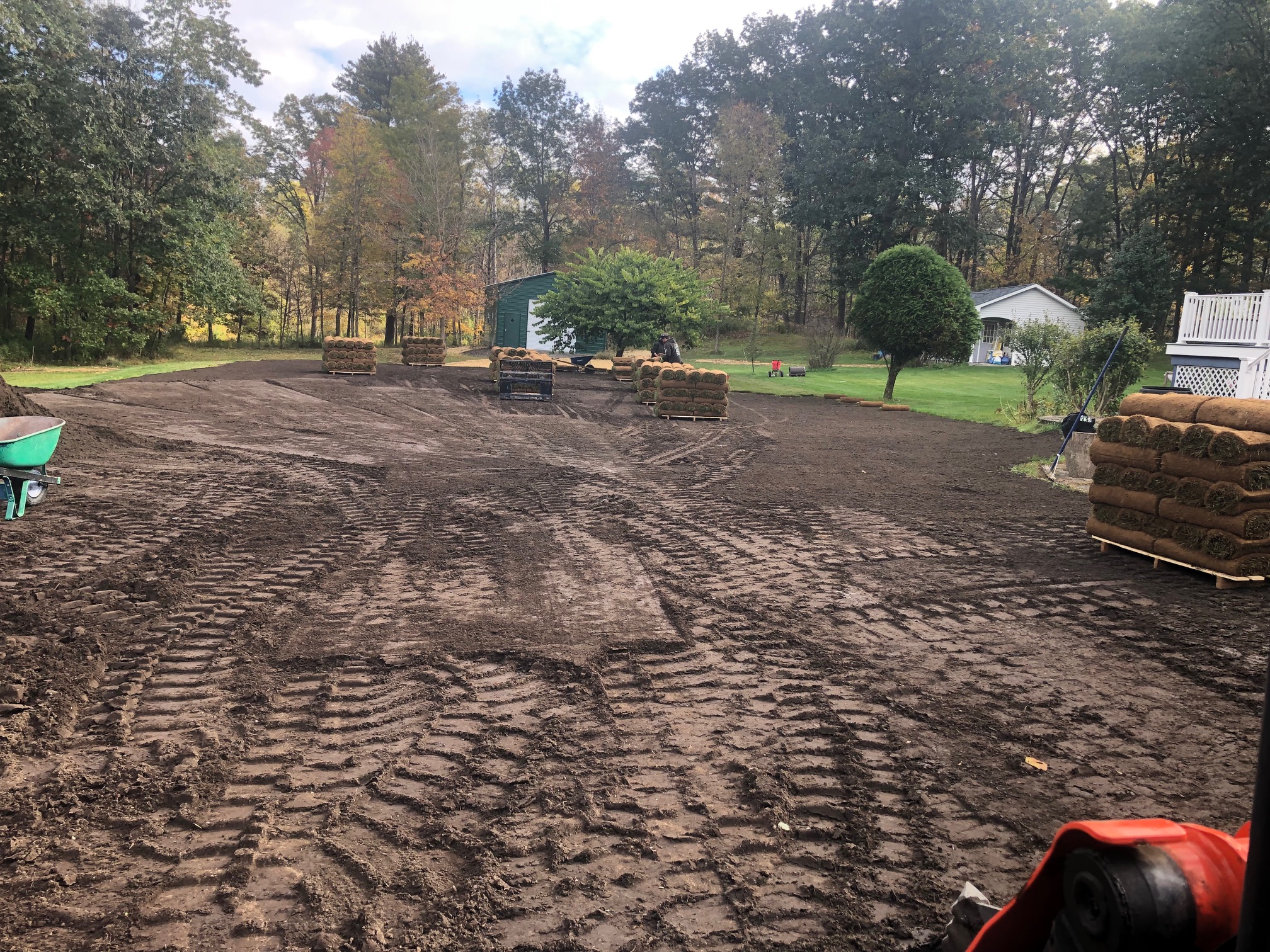 Sod Installation project photo 09