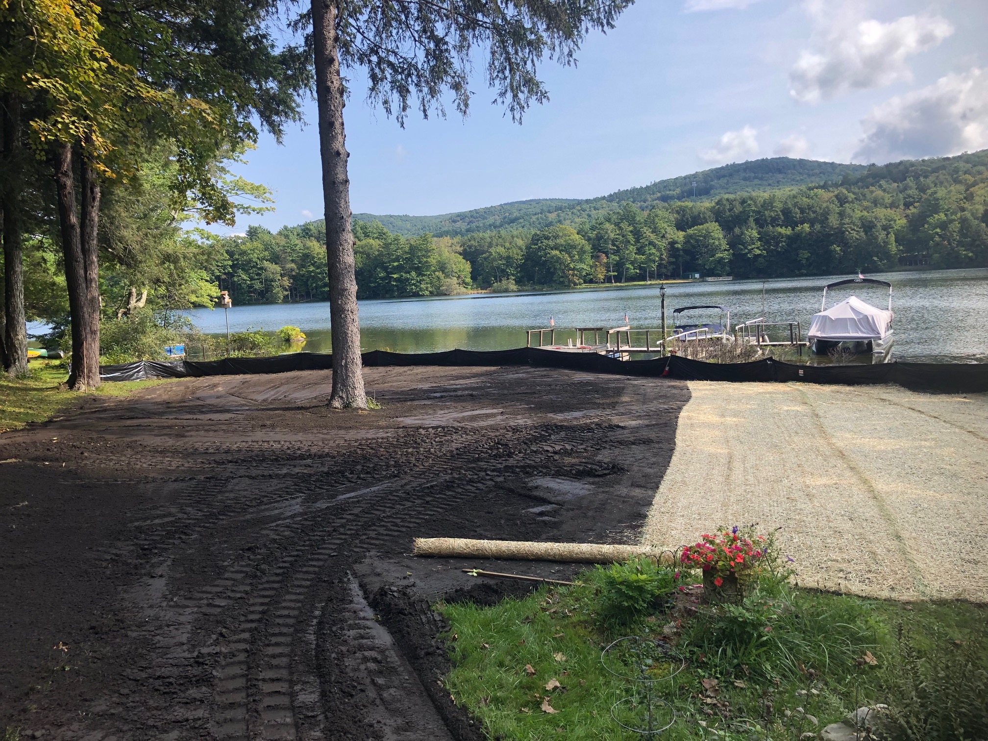 Sod Installation project photo 10