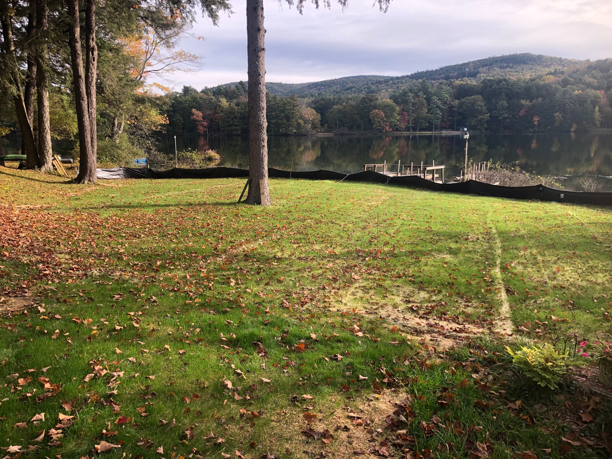 Sod Installation project photo 11