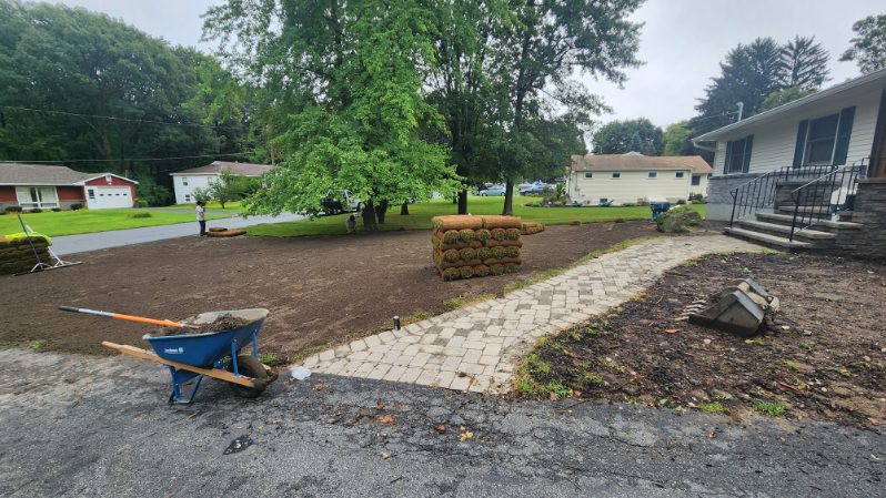 Sod Installation project photo 12