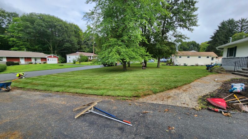 Sod Installation project photo 13