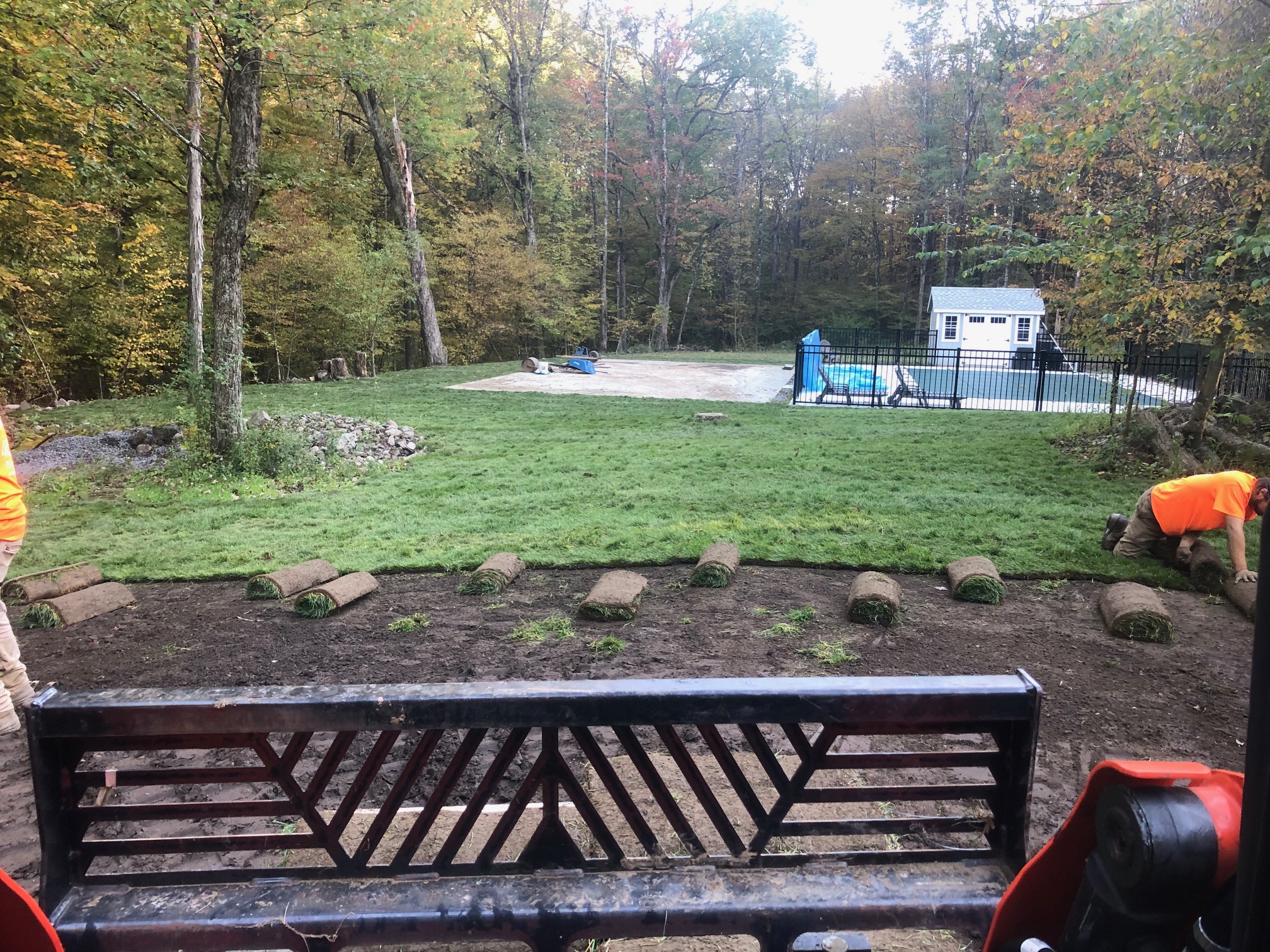 Sod Installation project photo 15