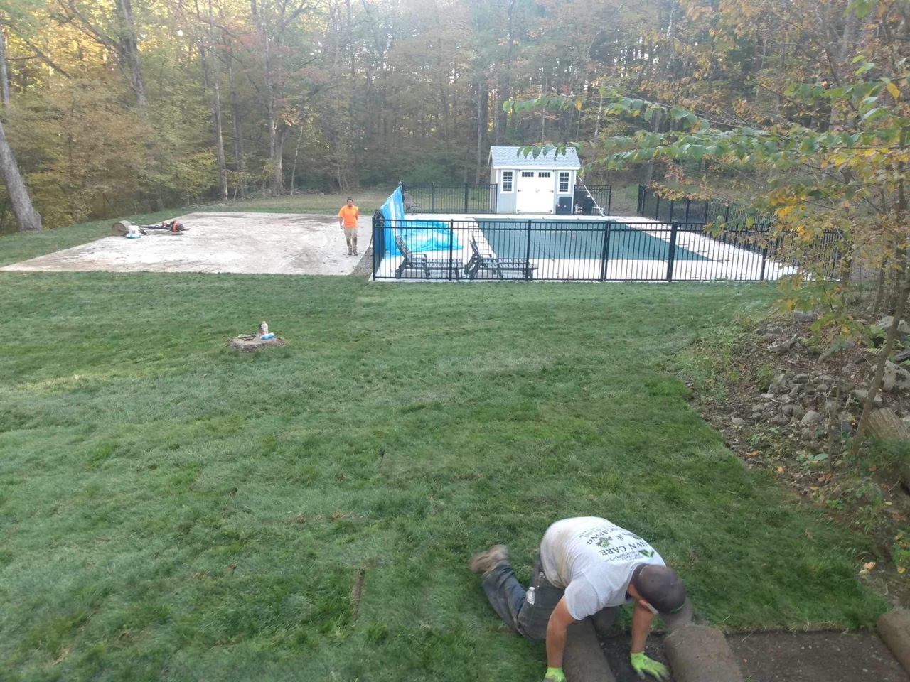 Sod Installation project photo 16