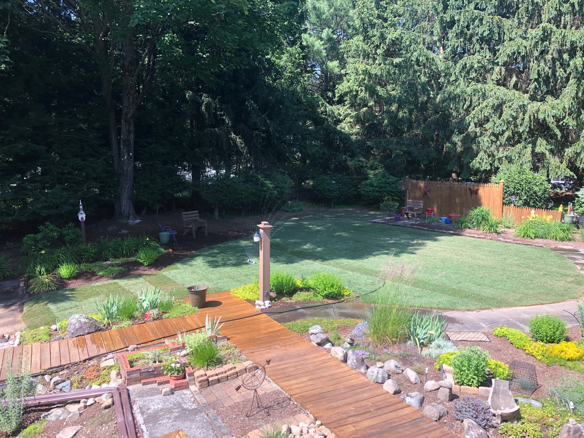 Sod Installation project photo 20