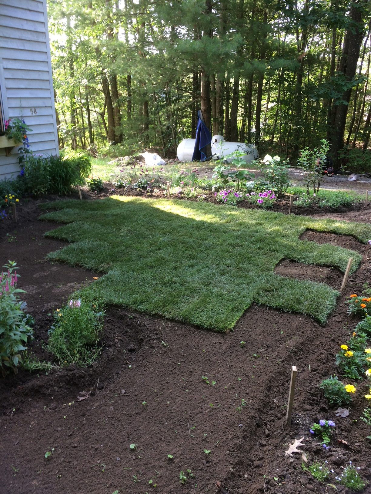 Sod Installation project photo 24