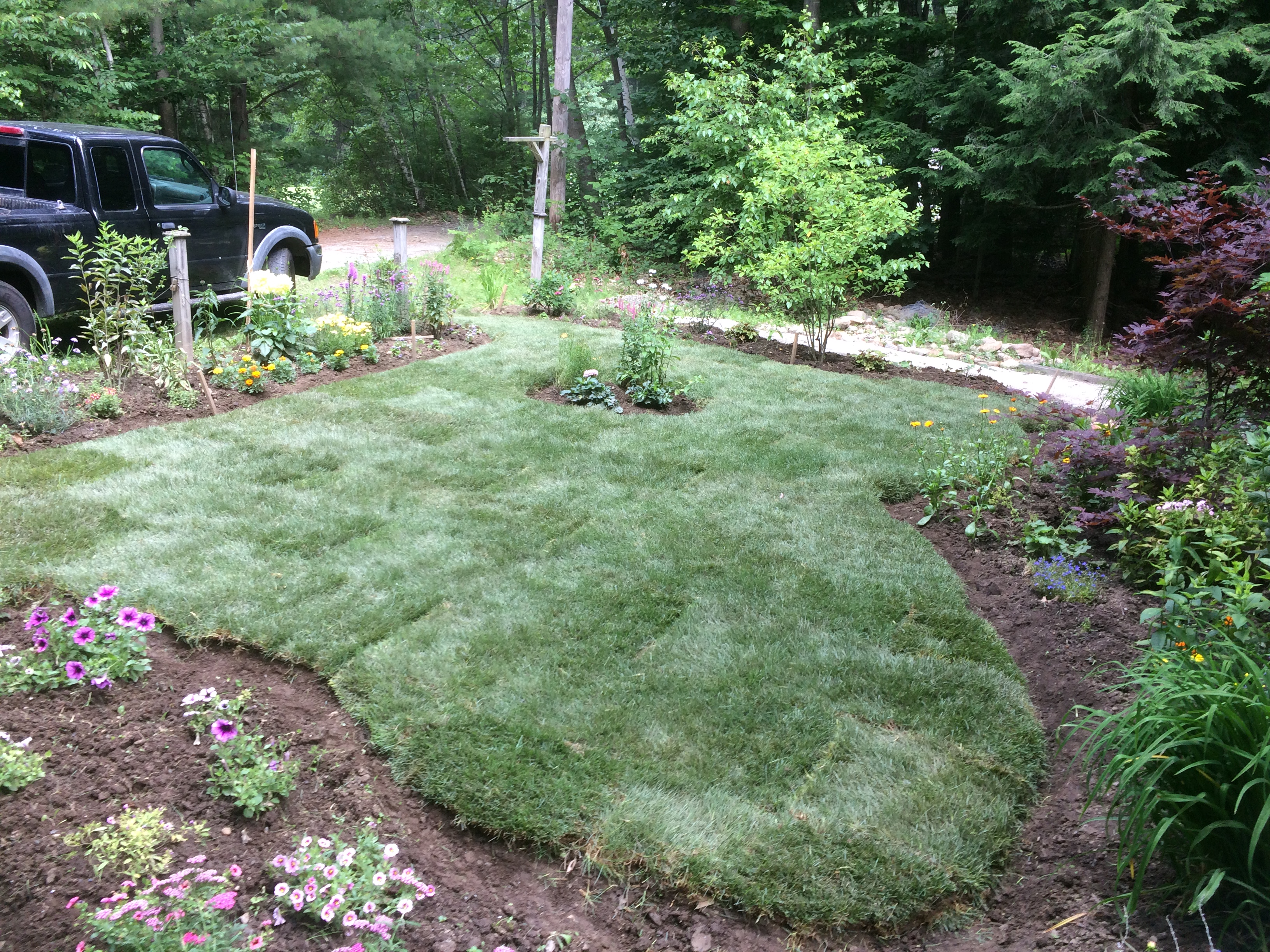 Sod Installation project photo 25