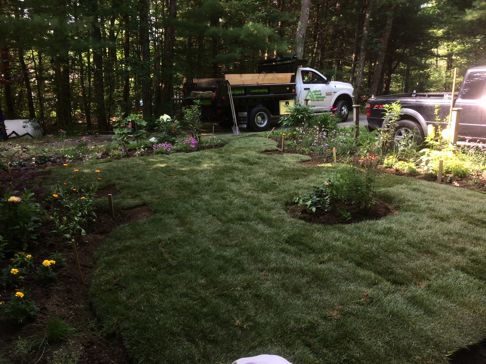 Sod Installation project photo 26