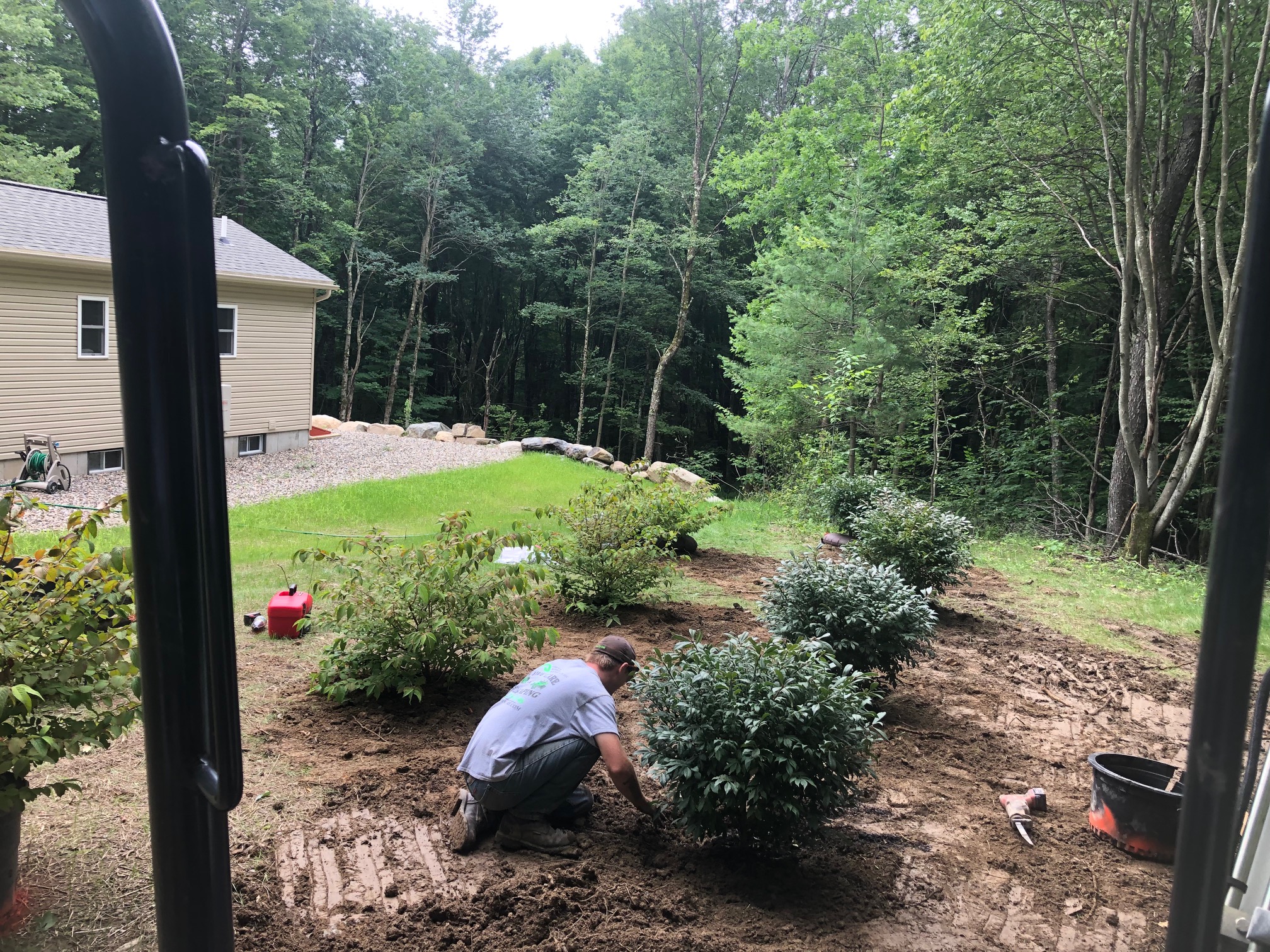 Tree Planting project photo 01