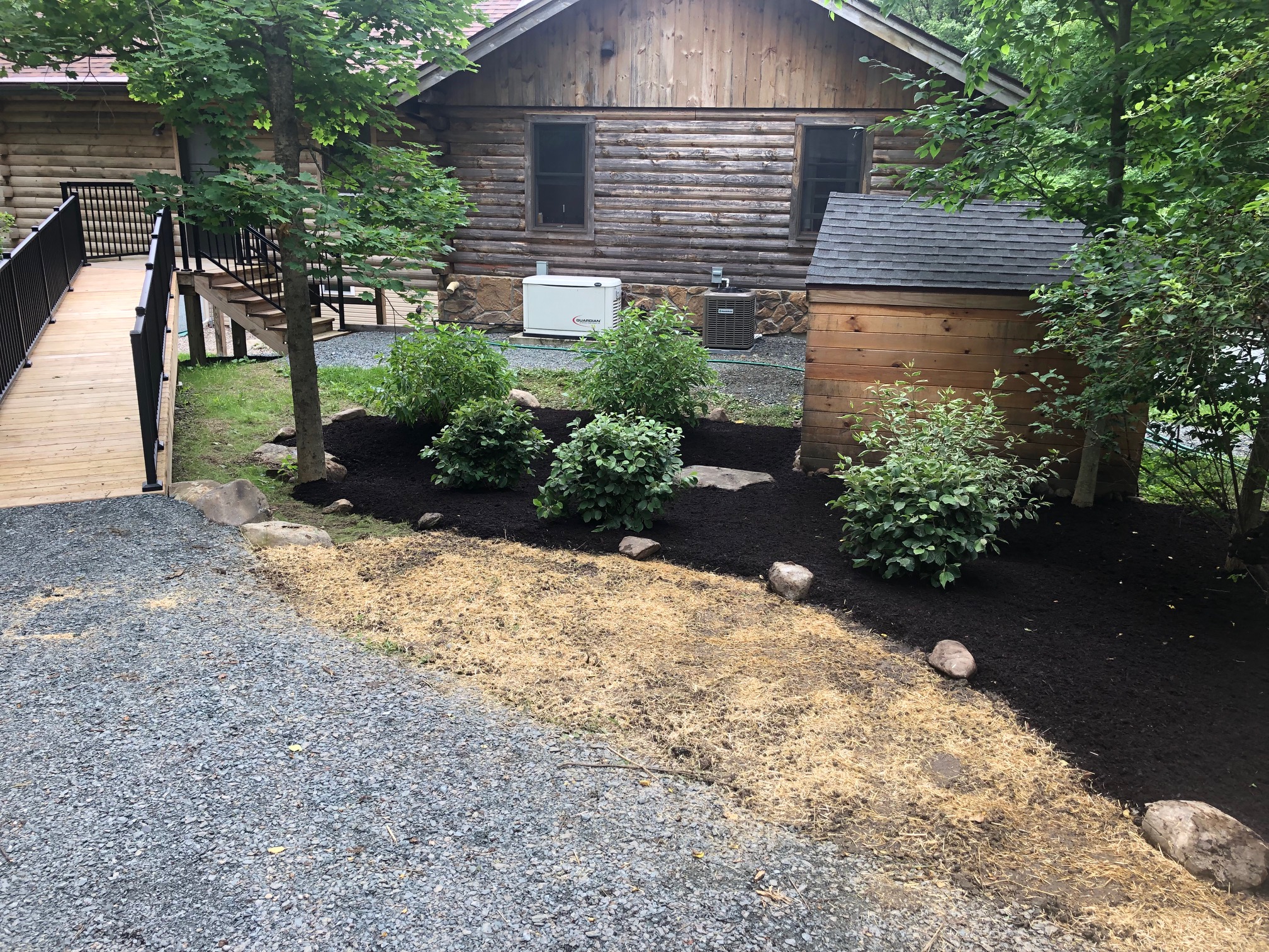 Tree Planting project photo 02