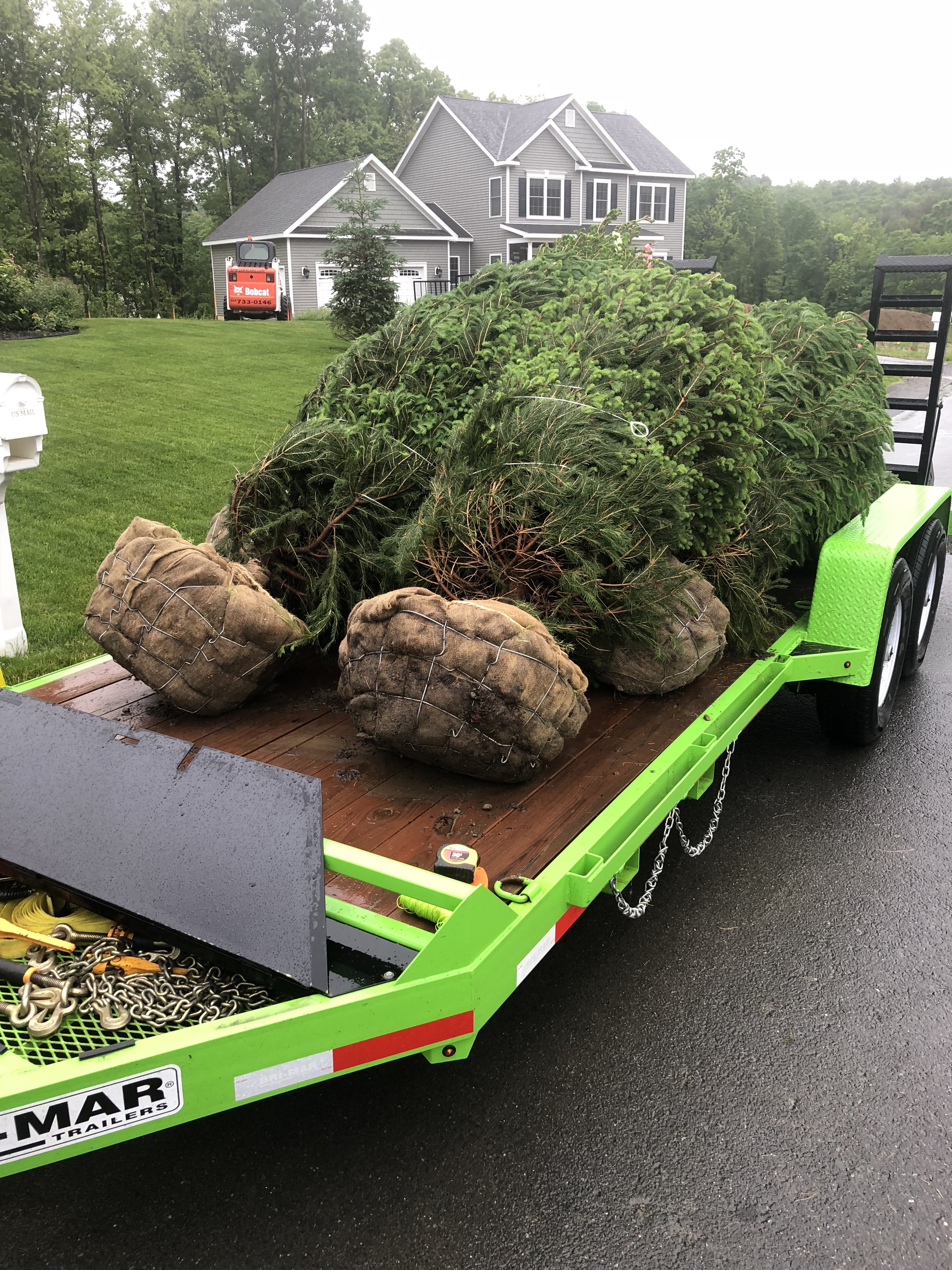 Tree Planting project photo 05