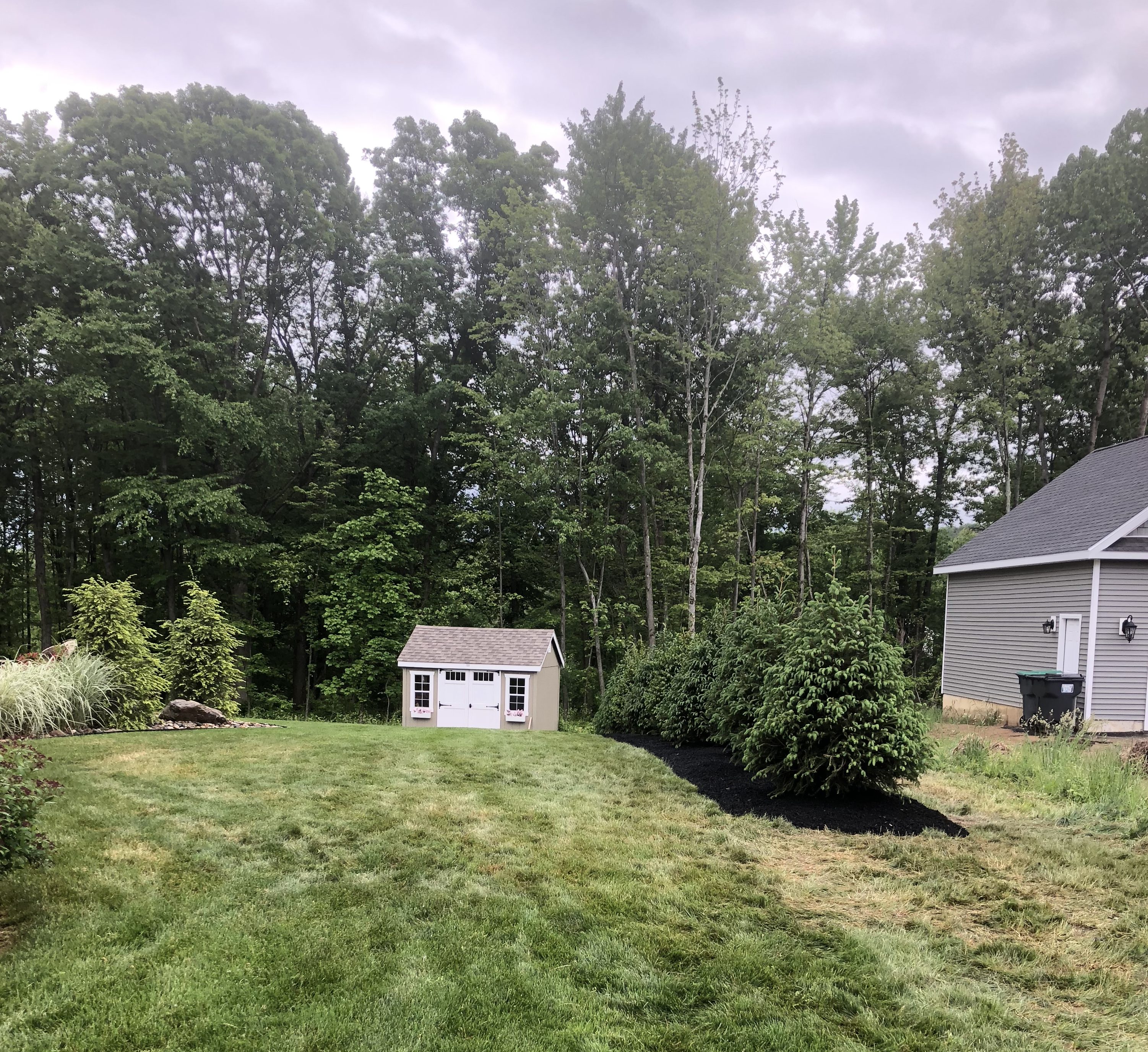 Tree Planting project photo 07