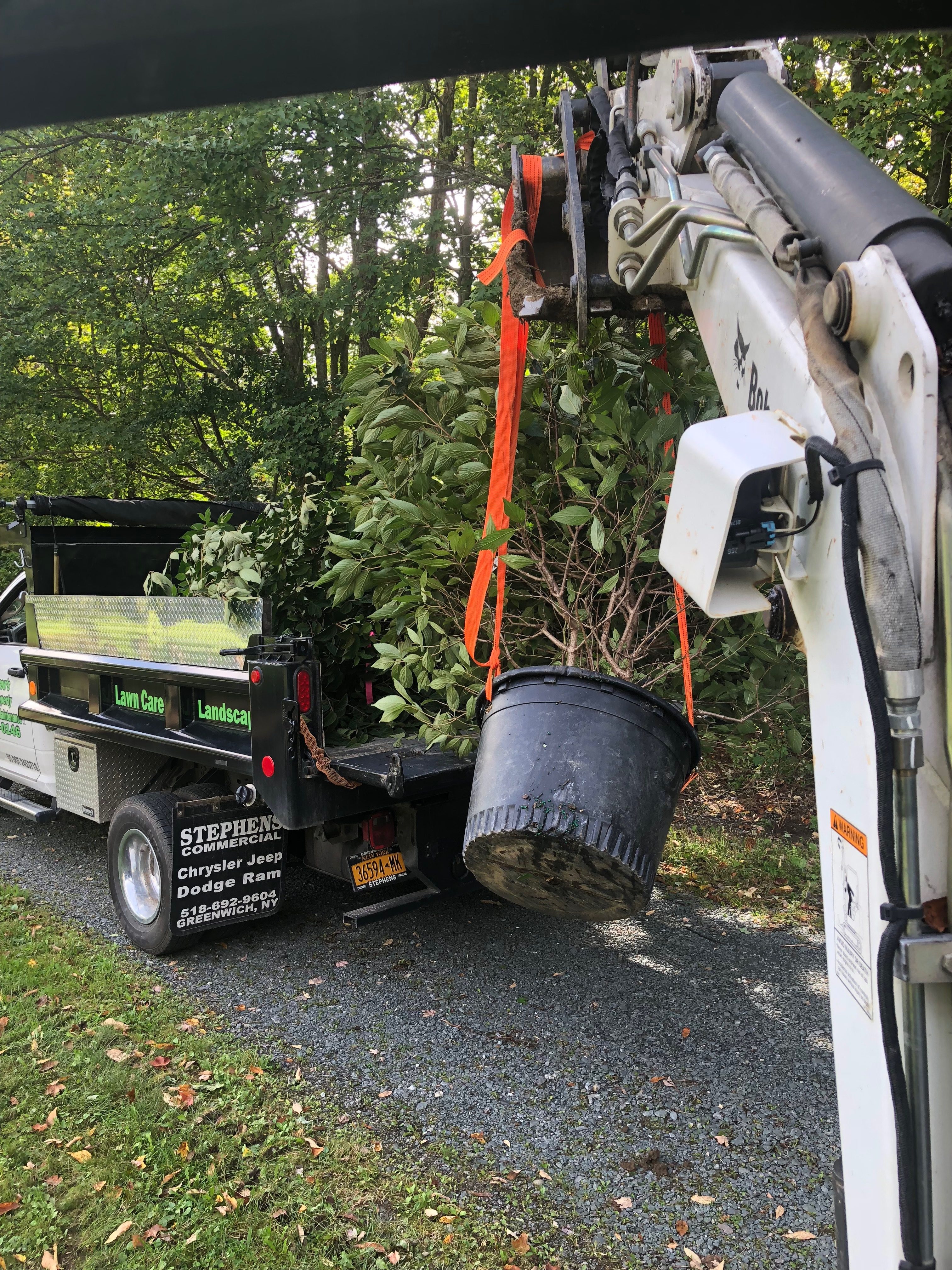 Tree Planting project photo 08