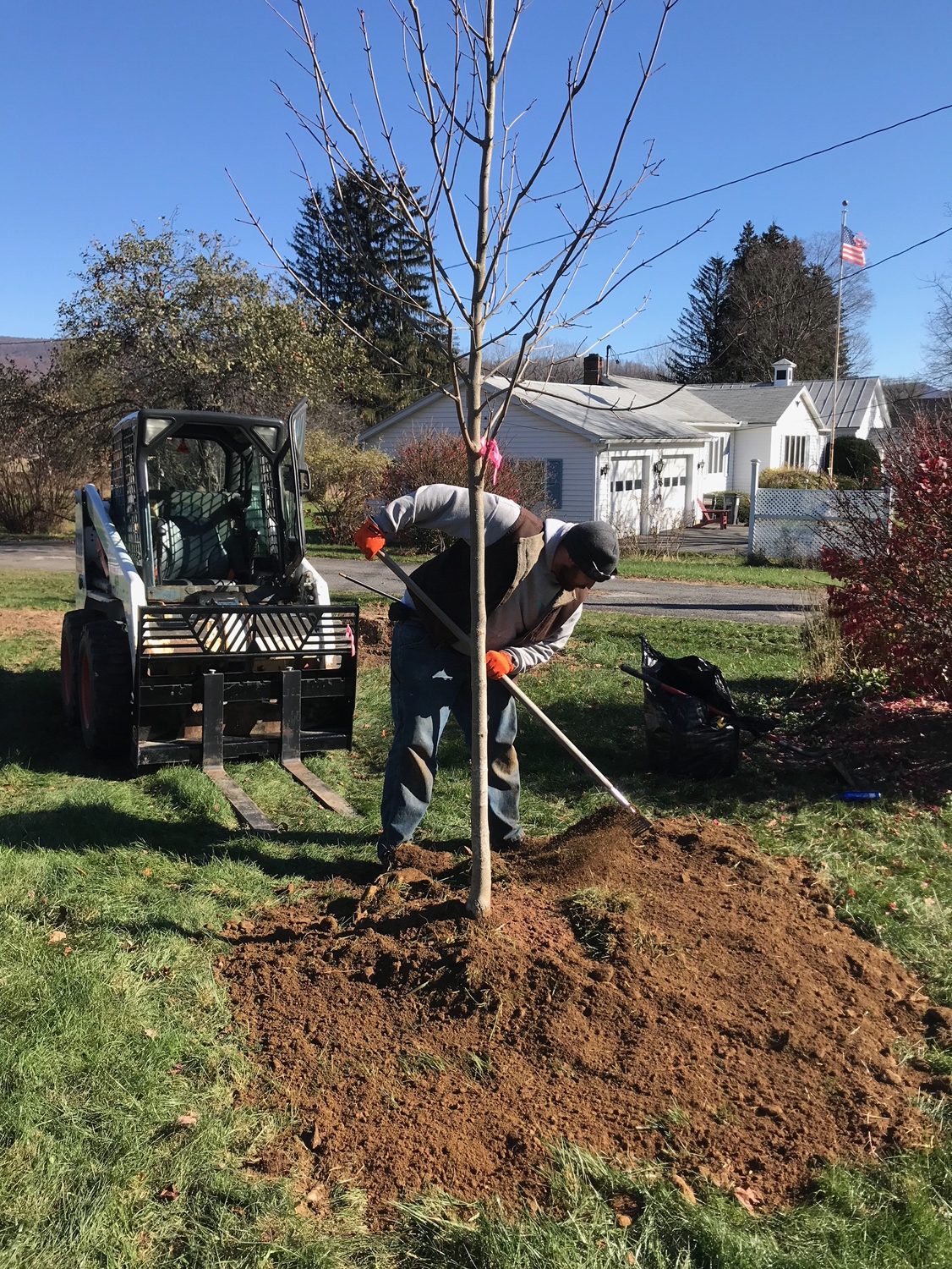 Tree Planting project photo 10