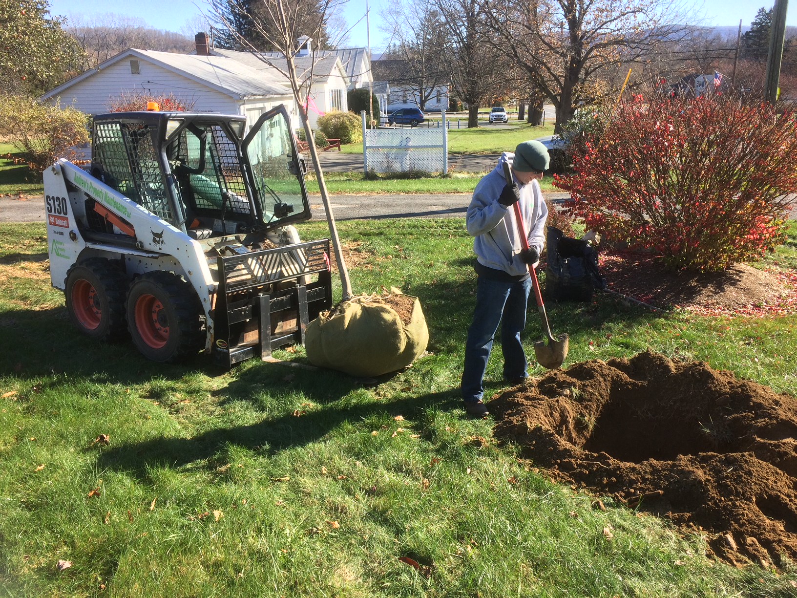 Tree Planting project photo 11
