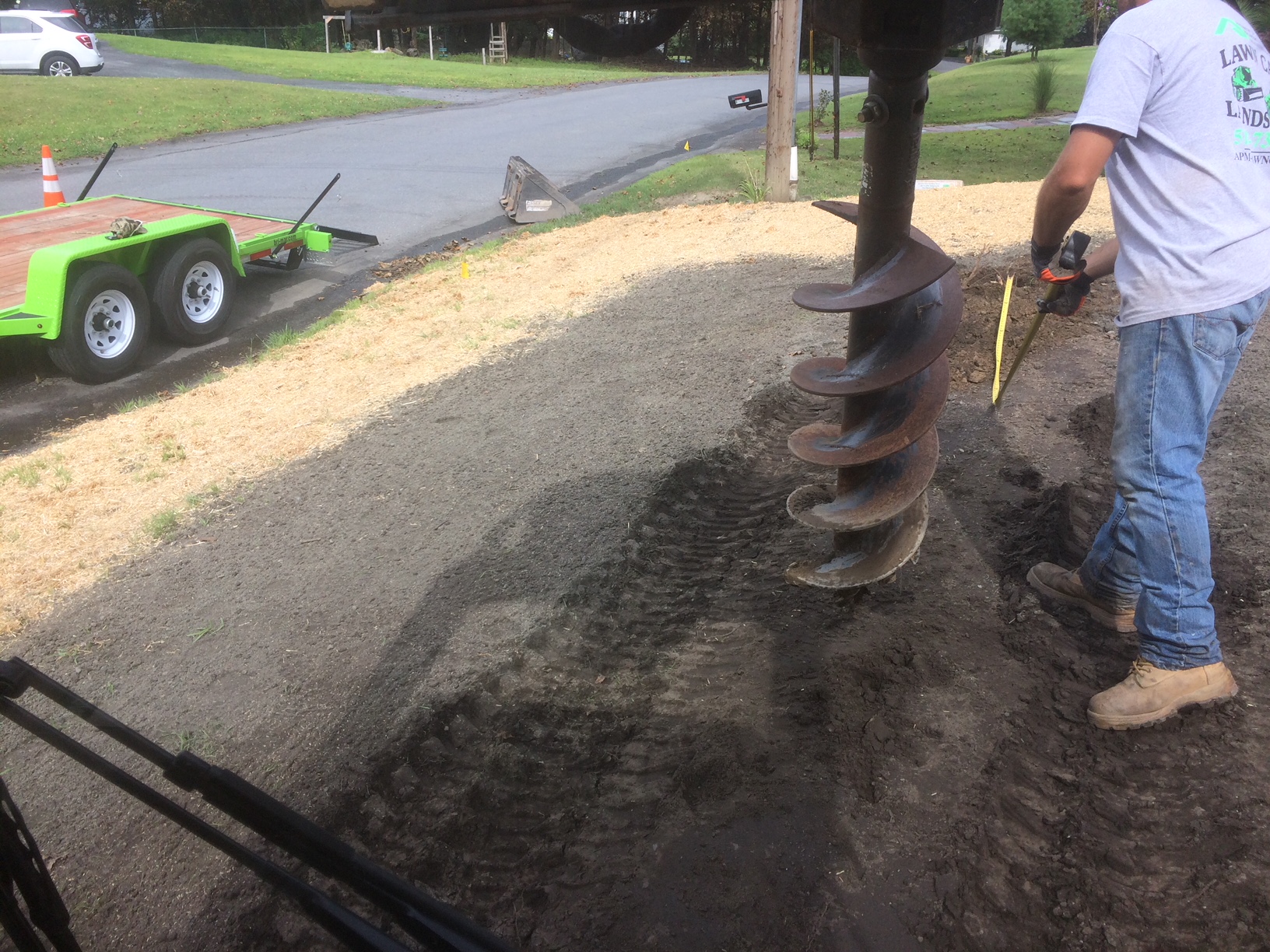 Tree Planting project photo 13