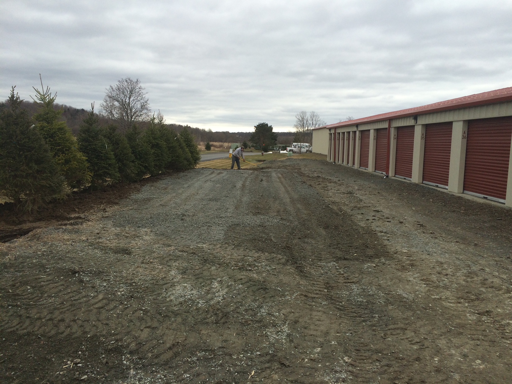 Tree Planting project photo 19