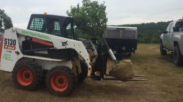 Tree Planting