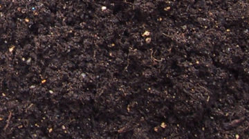 Topsoil - Bulk Delivery