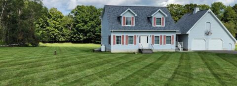 Lawn Care